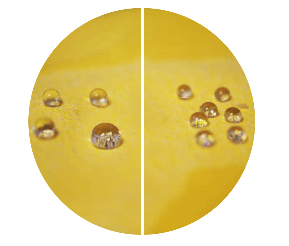 FABRIC Fabric & Carpet Protector